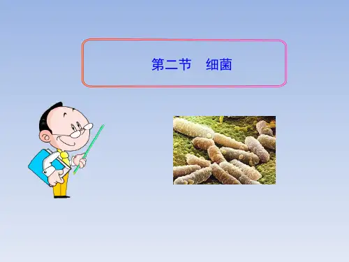 八年级生物上册-第五单元-第四章-第二节《细菌》-新人教版市公开课获奖课件省名师示范课获奖课件