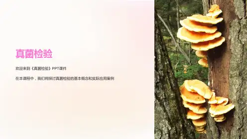 《真菌检验》课件