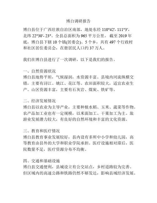 博白调研报告