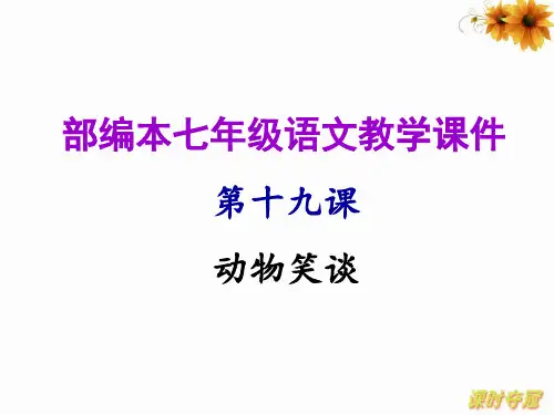 《动物笑谈》优质课教案