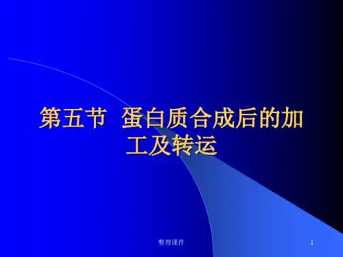 蛋白质合成后的加工及转运