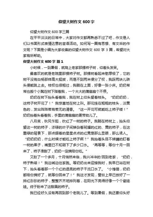 仰望大树作文600字三篇