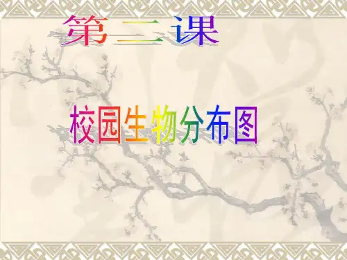 六年级上册第四单元第二课 校园生物分布图 课件