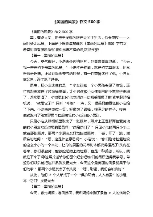 《美丽的风景》作文500字