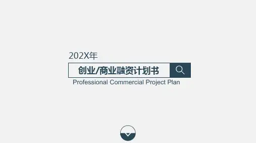 创意简约高端大气创业商业融资计划书ppt模板