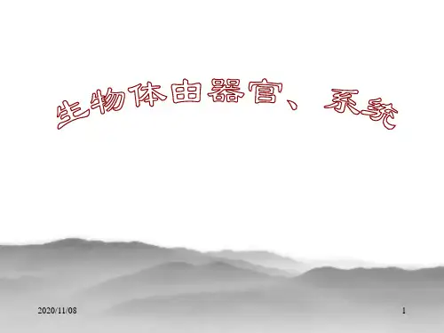 北师大版七年级上册生物 《生物体的器官、系统》PPT教学课件
