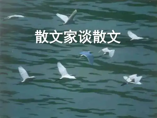 《散文家谈散文》PPT教学课件