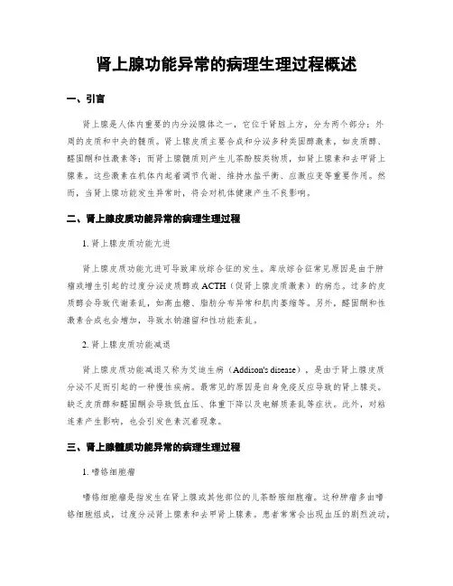 肾上腺功能异常的病理生理过程概述