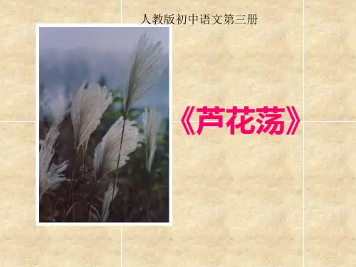人教版初中语文八年级上册 芦花荡 课件