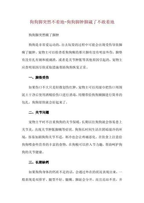 狗狗脚突然不着地-狗狗脚肿脚崴了不敢着地