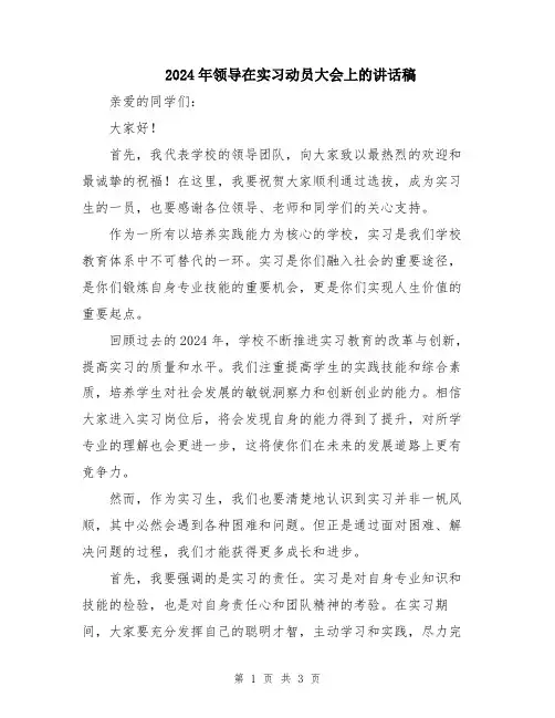 2024年领导在实习动员大会上的讲话稿