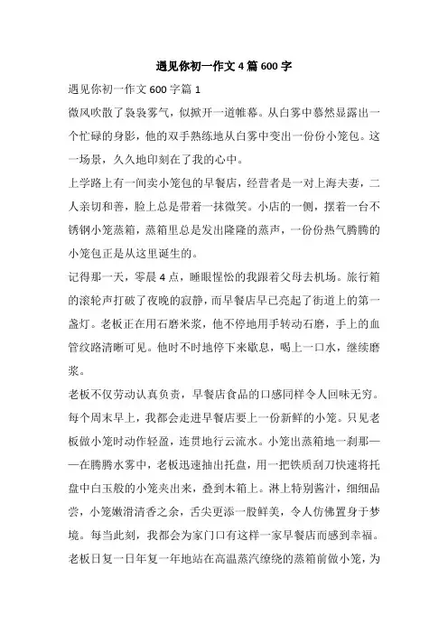 遇见你初一作文4篇600字