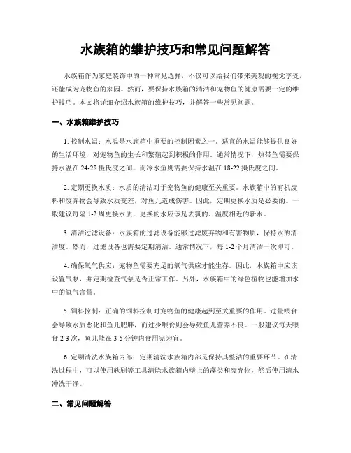 水族箱的维护技巧和常见问题解答