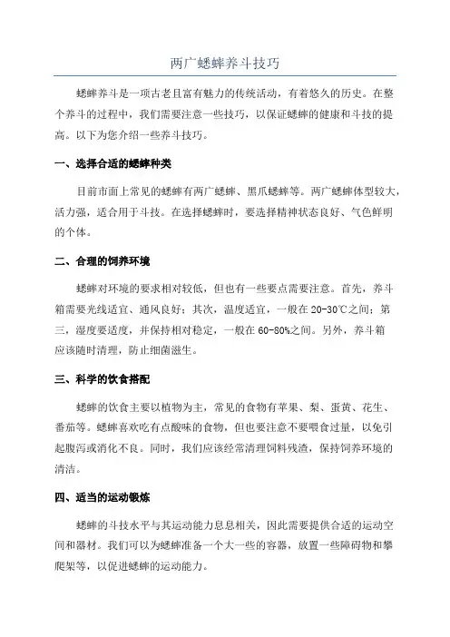 两广蟋蟀养斗技巧