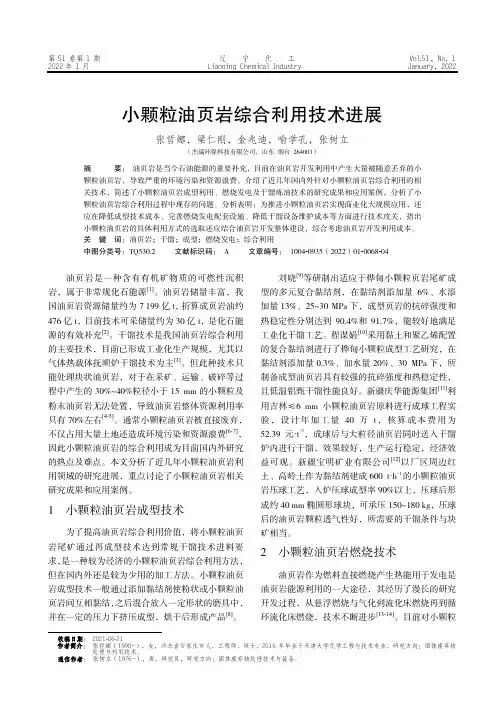 小颗粒油页岩综合利用技术进展