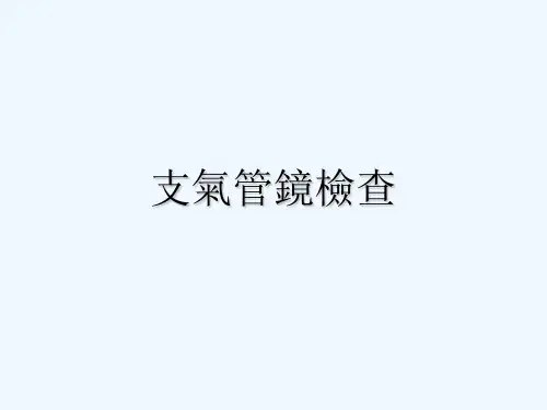 支气管镜检查 PPT