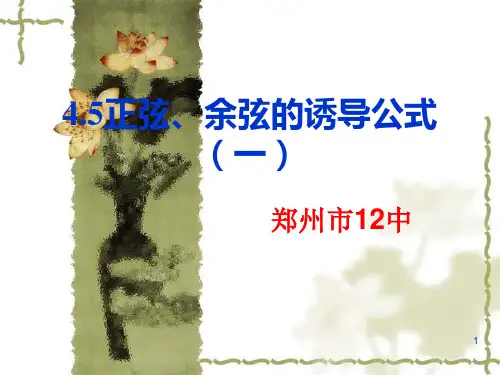 4.5正弦、余弦的诱导公式(一)