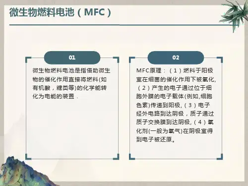 微生物燃料电池(MFC)