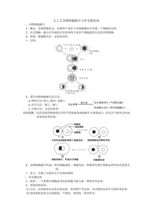 动物细胞融合与单克隆抗体学案