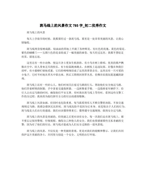 斑马线上的风景作文793字_初二优秀作文