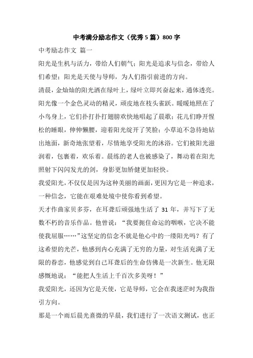 中考满分励志作文(优秀5篇)800字
