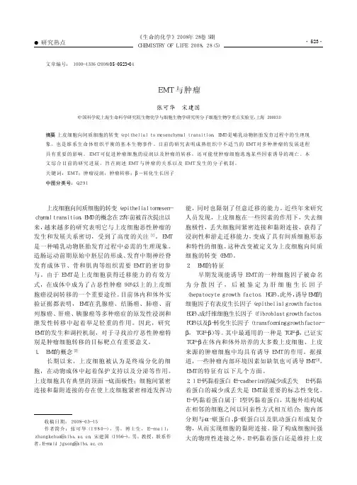 EMT与肿瘤