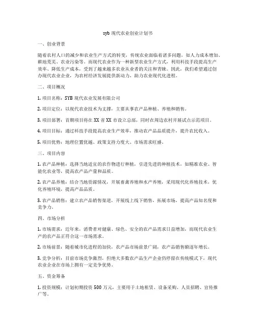 syb现代农业创业计划书