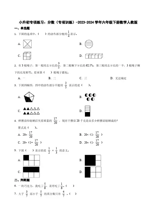 小升初专项练习：分数(专项训练)-2023-2024学年六年级下册数学人教版(含答案)