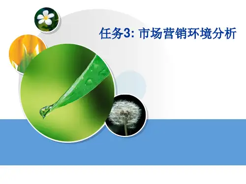 任务3市场营销环境分析