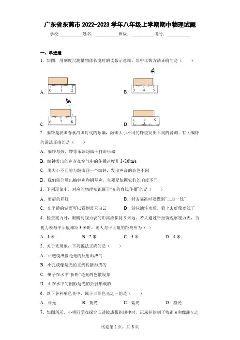 广东省东莞市2022-2023学年八年级上学期期中物理试题(含答案)