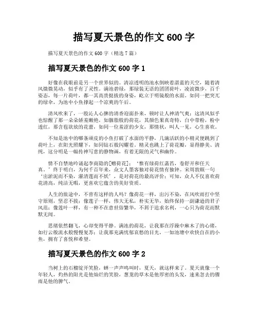 描写夏天景色的作文600字