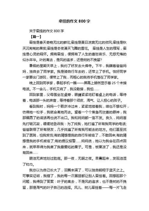 关于牵挂的作文800字