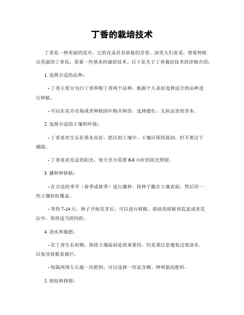 丁香的栽培技术