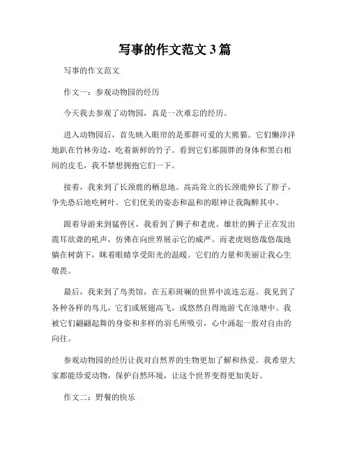 写事的作文范文3篇