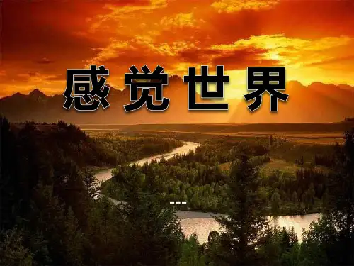 浙教版科学七下2.1《感觉世界》ppt-课件