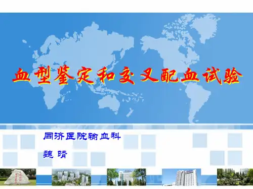 血型ppt课件