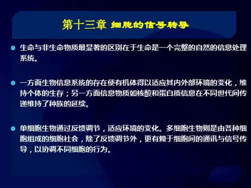 细胞的信号转导