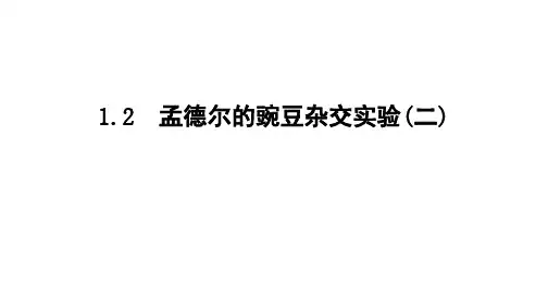 人教版高中生物必修二 孟德尔的豌豆杂交实验(二)PPT优质课件(复习用)(共48张)