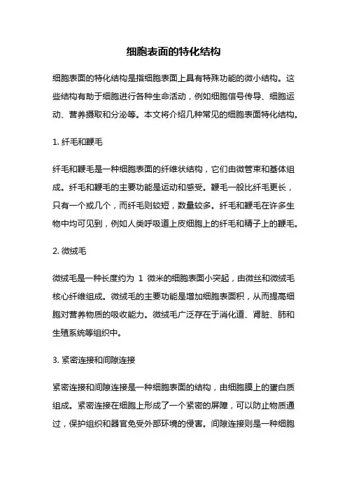 细胞表面的特化结构