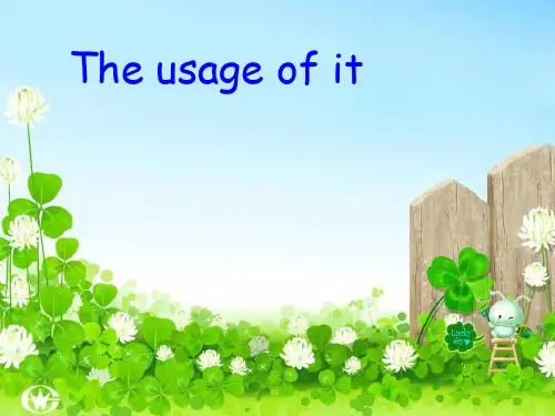 it用法ppt