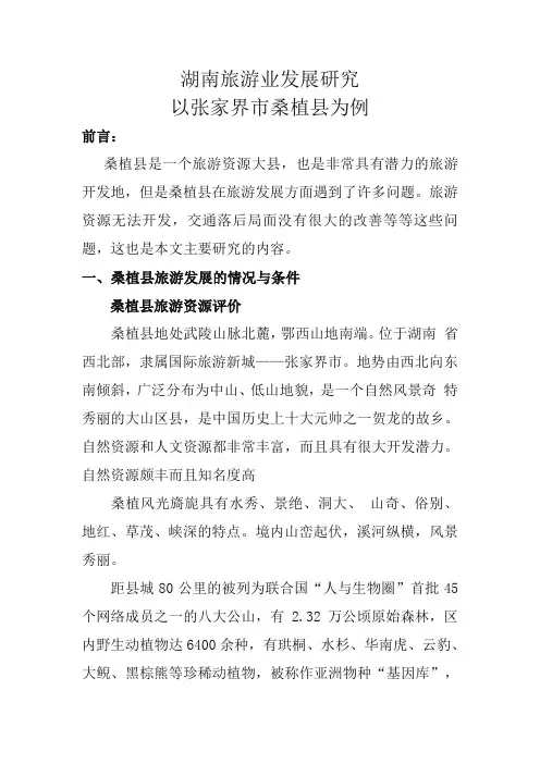 湖南旅游业发展研究