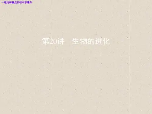 高三生物一轮复习第20讲生物的进化课件