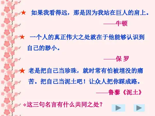 我很重要-毕淑敏 课件