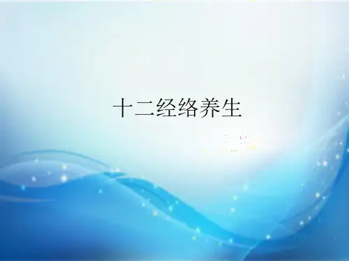十二经络养生课件课件