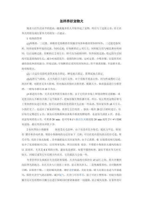 如何养好宠物狗
