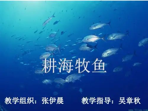 浙教版七年级上历史与社会第三课《耕海牧渔》课件