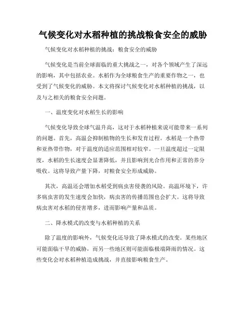 气候变化对水稻种植的挑战粮食安全的威胁