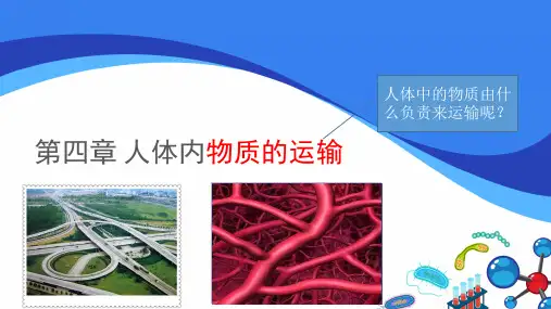 流动的组织血液ppt课件