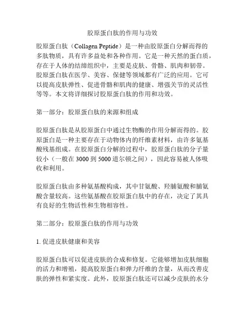 胶原蛋白肽的作用与功效