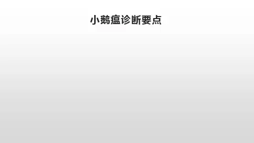 小鹅瘟诊断要点